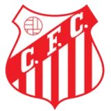 Capivariano Team Flag