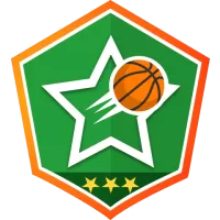 Basket Zaragoza Team Flag