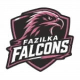 Fazilka Falcons Picture