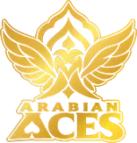 Arabian Aces Flag