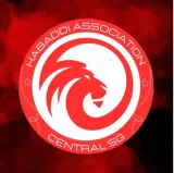 Singapore Team Flag