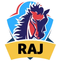 Rajputs Team Flag