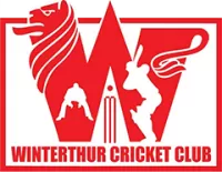 Winterthur Cc Team Flag
