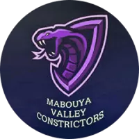 Mabouya Constrictors Team Flag