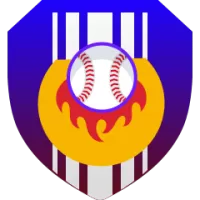 Yokohama Dena Baystars Team Flag