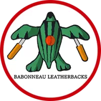 Babonneau Leatherbacks Team Flag