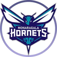 Maharashtra Team Flag