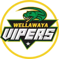 Wv Team Flag