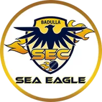 Bse Team Flag