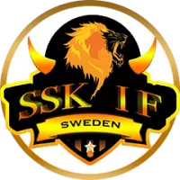 About Stockholm Super Kings Team