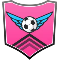 Fc Tokyo Team Flag