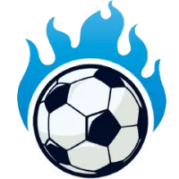 La Galaxy Team Flag