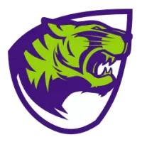 Orlando City SC Flag