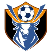 Fc Rostov Team Flag