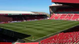 The Bumblebee Stadium  Ground