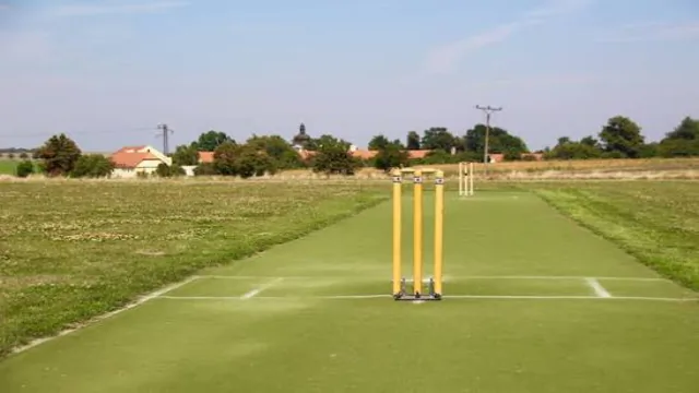 Scott Page Field, Vinor