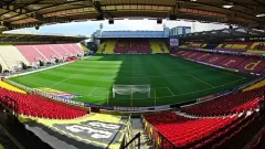 Vicarage Road Picture