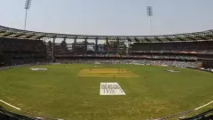 P Sara Oval Picture