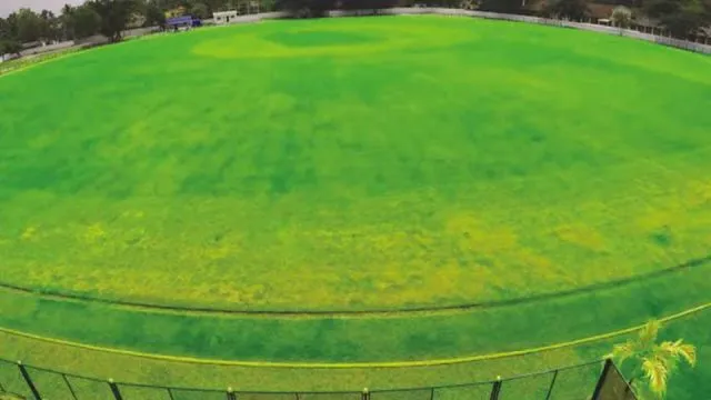 Sanatana Dharma College Ground