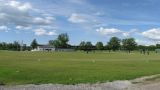 Maple Leaf Ground