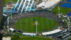 Bay Oval Picture