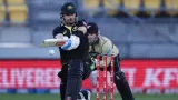 Aaron Finch and spinners