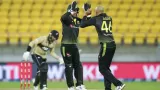 Aaron Finch, Glenn Maxwell