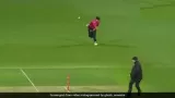 Womens Big Bash League