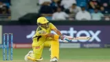 CSK vs MI: राबिन