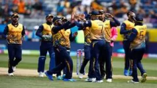 SL vs UAE Match Preview, Dream 11 भविष्यवाणी, प्लेइंग 11 और पिच रिपोर्ट