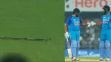 मैदान में घुसा सांप,
