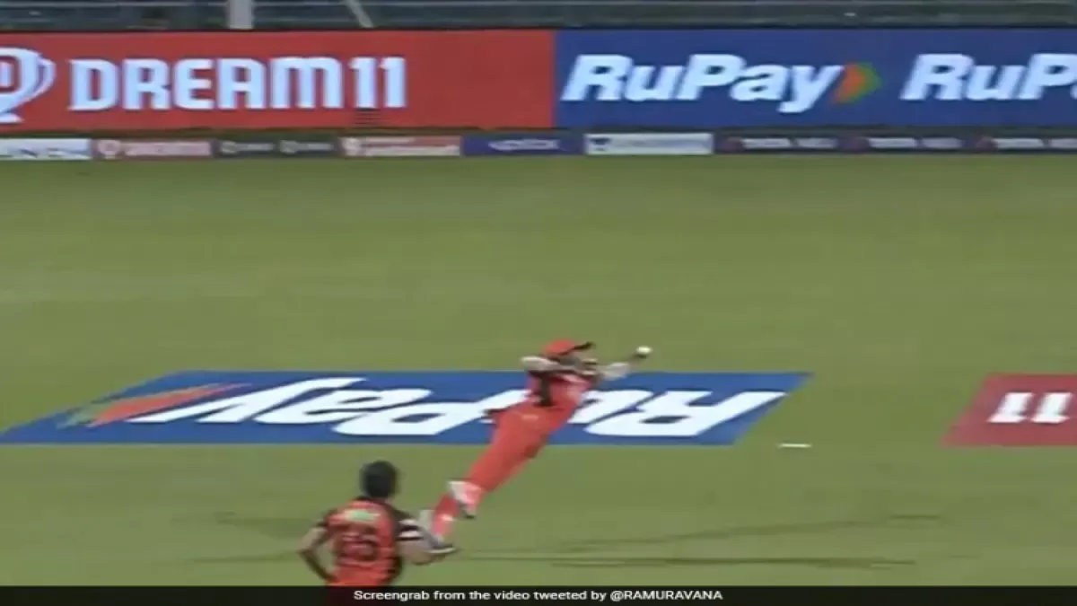 IPL में राहुल त्रिपाठी के इस कैच ने भौकाल मचा दिया- Video