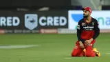 New Zealand commentator made