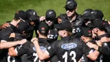 NZ vs PAK, New