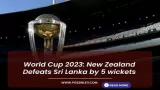 World Cup 2023: New