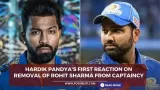 IPL 2024: Hardik Pandya