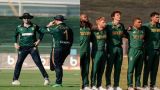 IRE vs SA Pitch