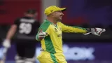 Matthew Wade will retire