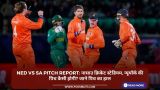 NED vs SA Pitch