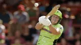 Cricket Update: Laura Harris