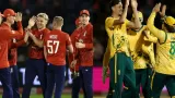 ENG vs SA Pitch