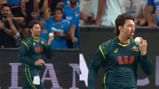 IND vs AUS: Tim