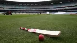 PIC vs ZNCC Dream11