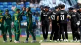 SA vs NZ Pitch