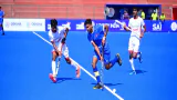 16th Hockey India Junior