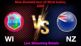 West Indies vs New