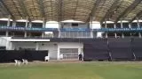 Reliance Stadium  Ground