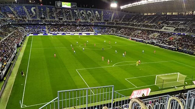 Estadio La Rosaleda Ground