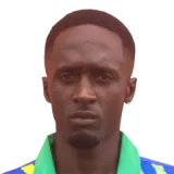 Dwayne Hamilton Cricket Player