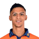 Nealan van Heerden
